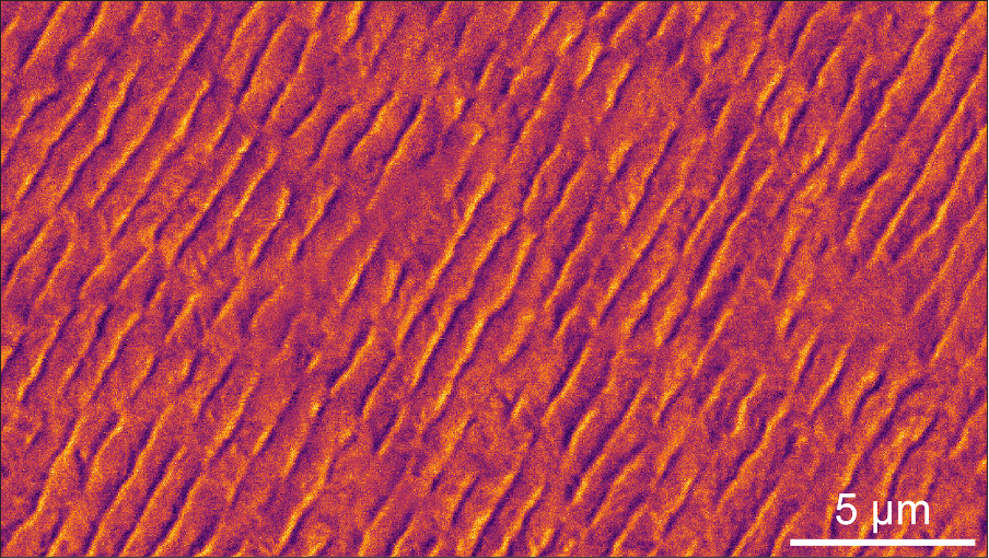 Magnetic and electric field imaging of antiferromagnets, ferroelectrics and multiferroics 1