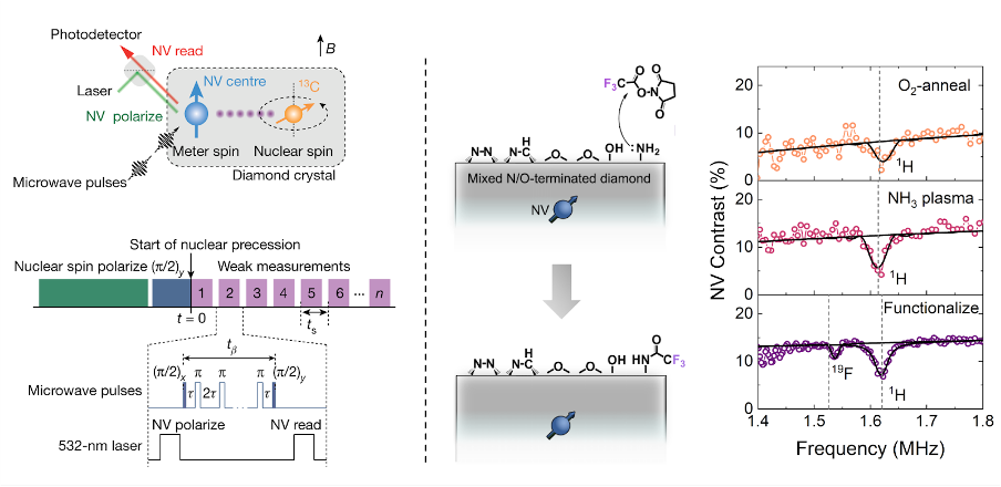 Single-nuclear-spin detection and single-molecule NMR