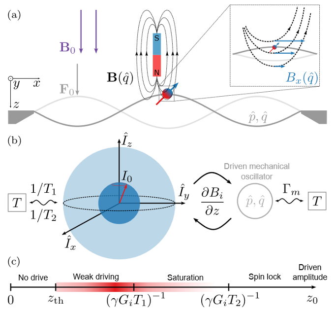 Membrane-based scanning force microscopy